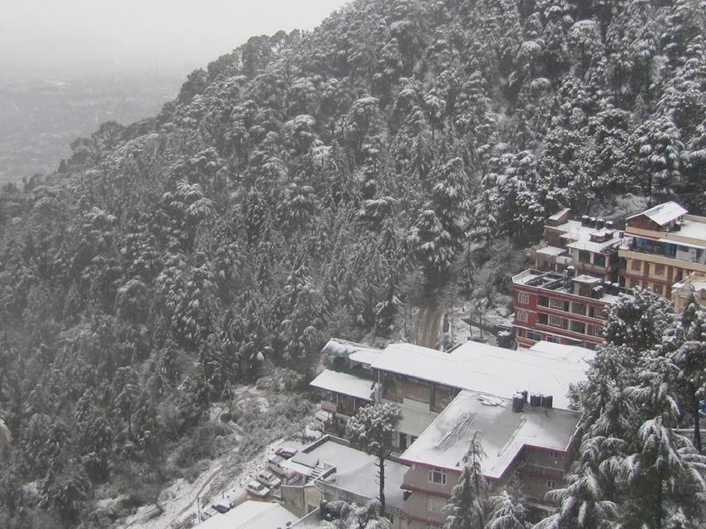 Hotel Deodar Villa Dharamshala Exteriör bild