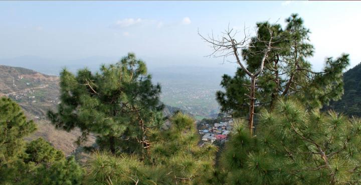 Hotel Deodar Villa Dharamshala Exteriör bild